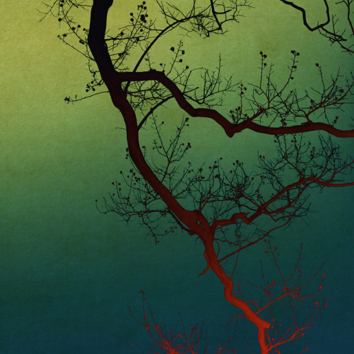 Albarran Cabrera Exposición de fotografía Madrid 2022