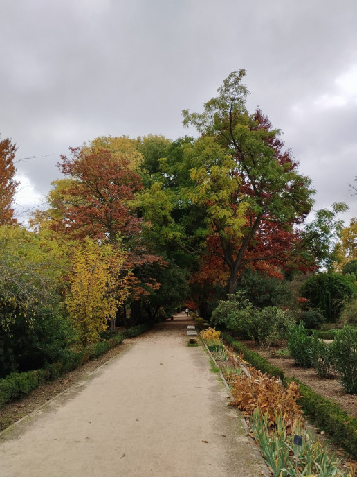 Paseo de otoño por el Real Jardín Botánico