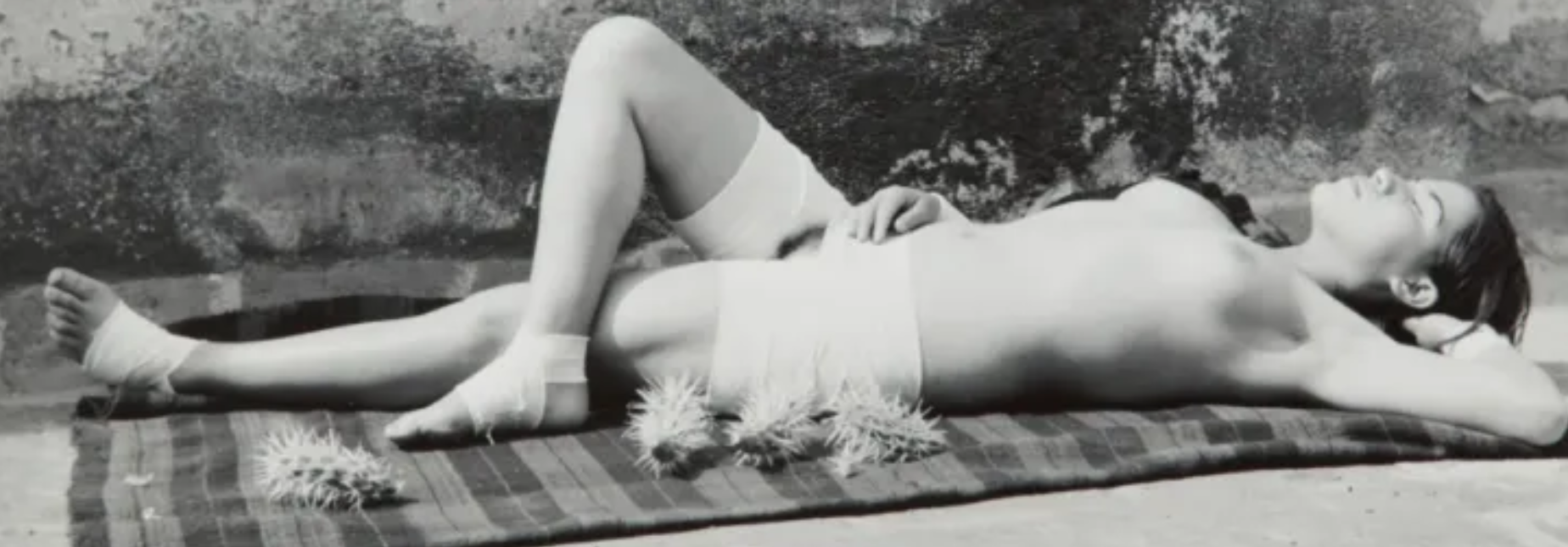 Galería Blanca Berlin. Foto Manuel Álvarez Bravo